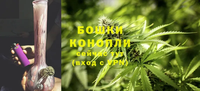 Шишки марихуана THC 21%  Николаевск-на-Амуре 